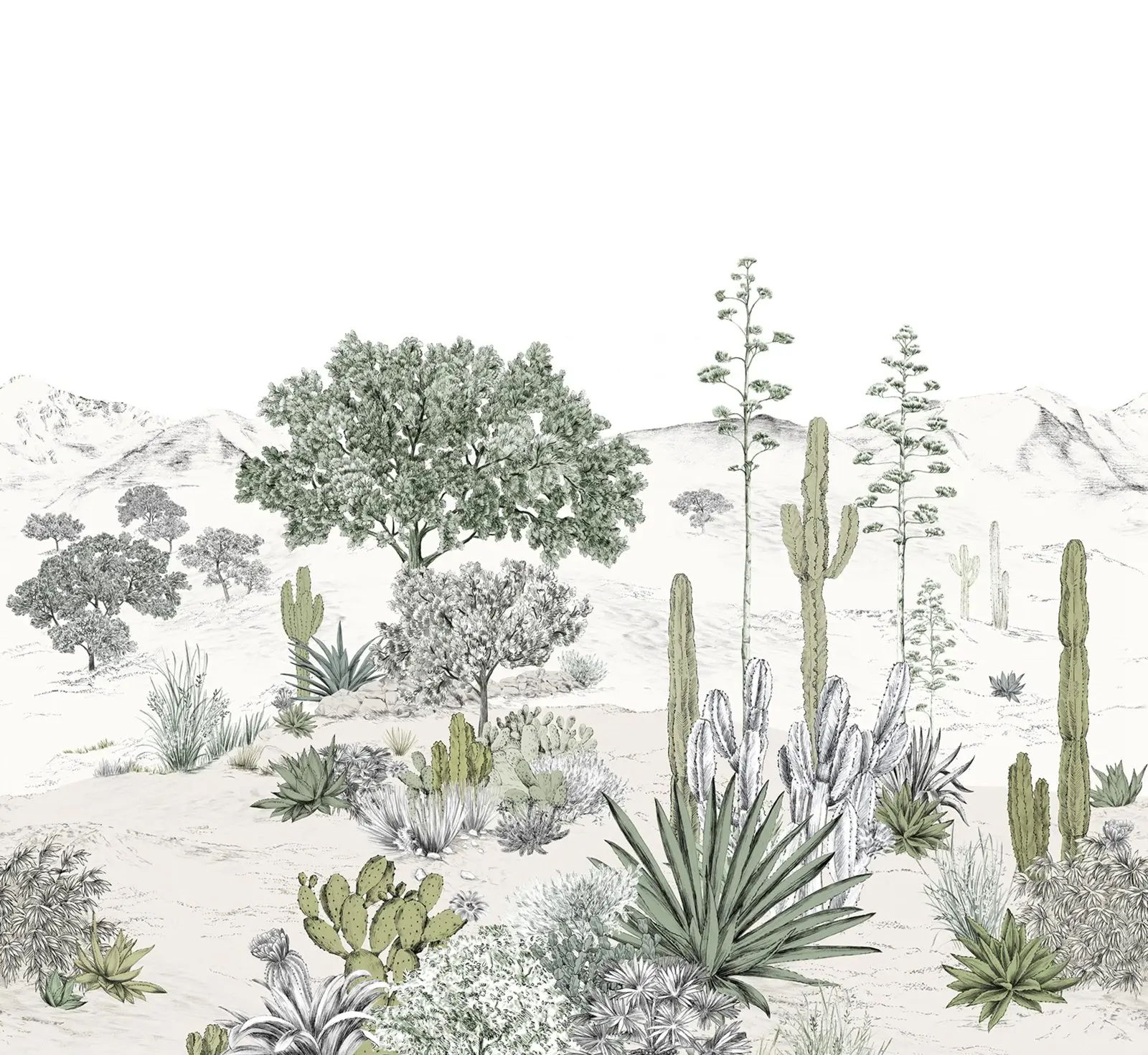 Succulentes wallpaper in Nature color, Landscape wallpaper with Illustrations of succulents, agaves and desert oaks
