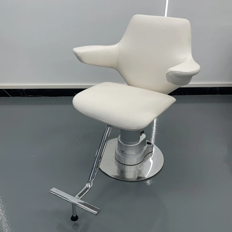 

Beauty Tattoo Barber Chairs Stylist Swivel Handrail Electric Salon Chair Hair Luxury Chaise Coiffeuse Sillas Furniture HD50LF