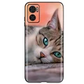 Case-c22