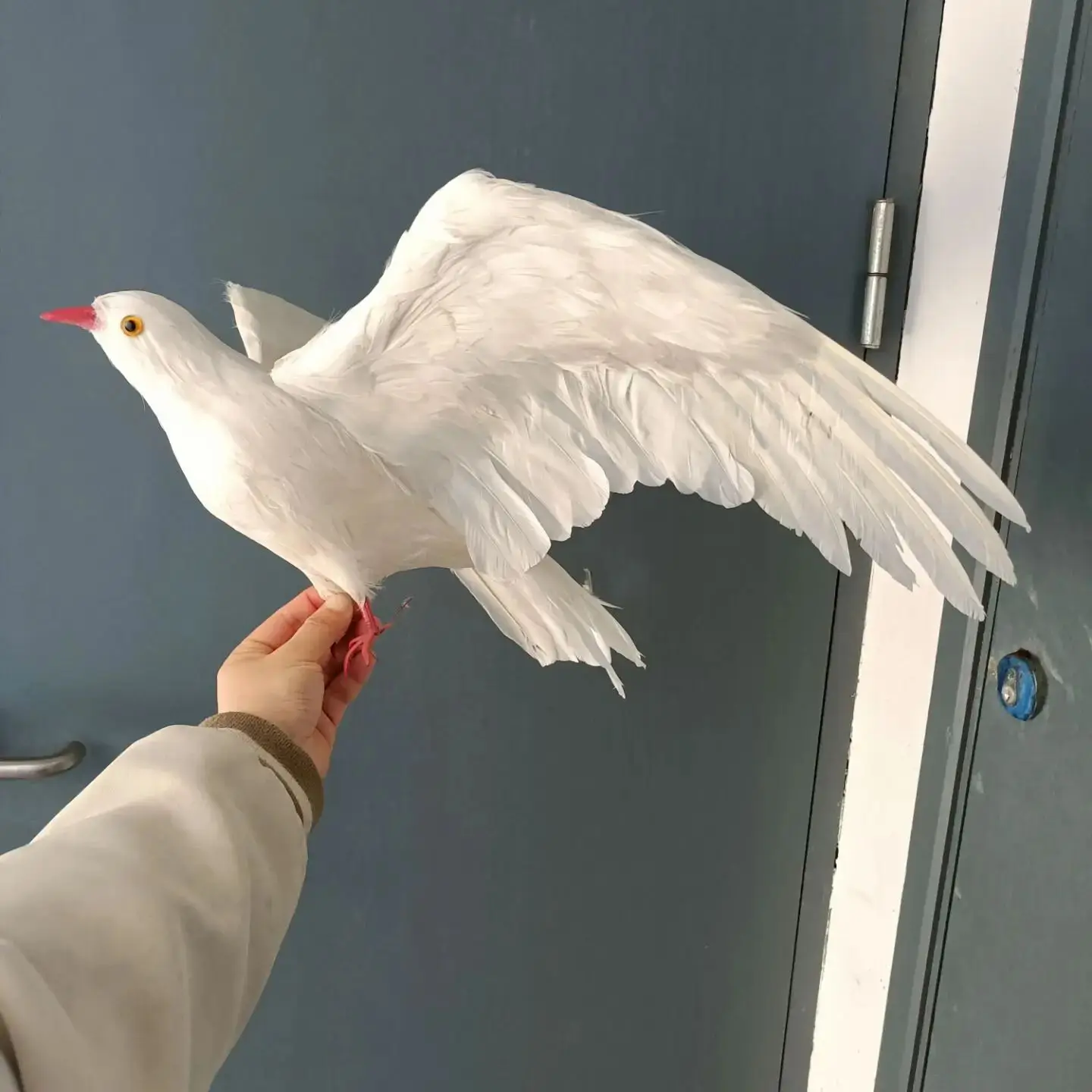 big-simulation-plastic-and-feathers-wings-white-dove-model-toy-gift-about-40x70cm-h2704