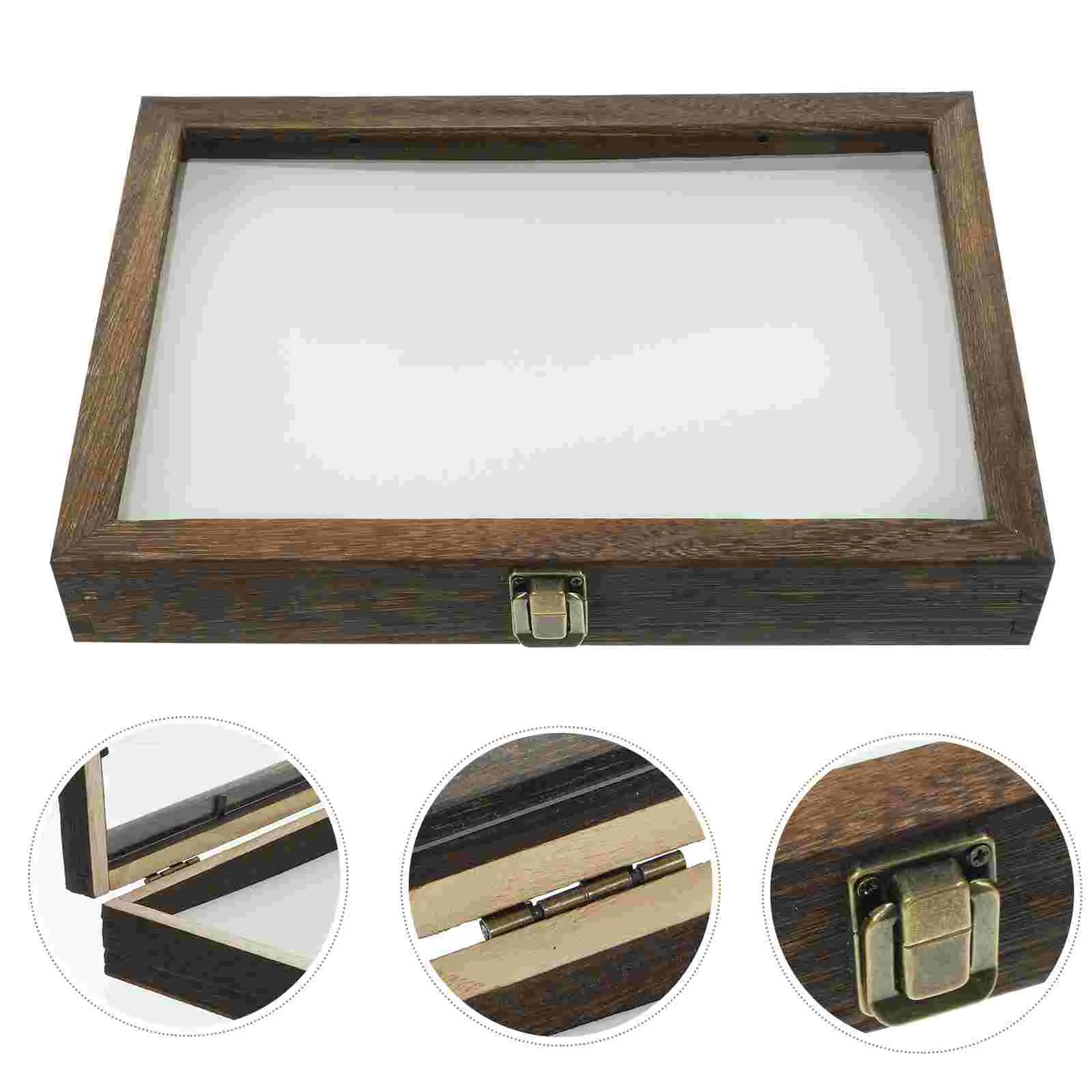 

1 Set Vintage Specimen Display Case Plant Specimen Box Specimen Container with Mat