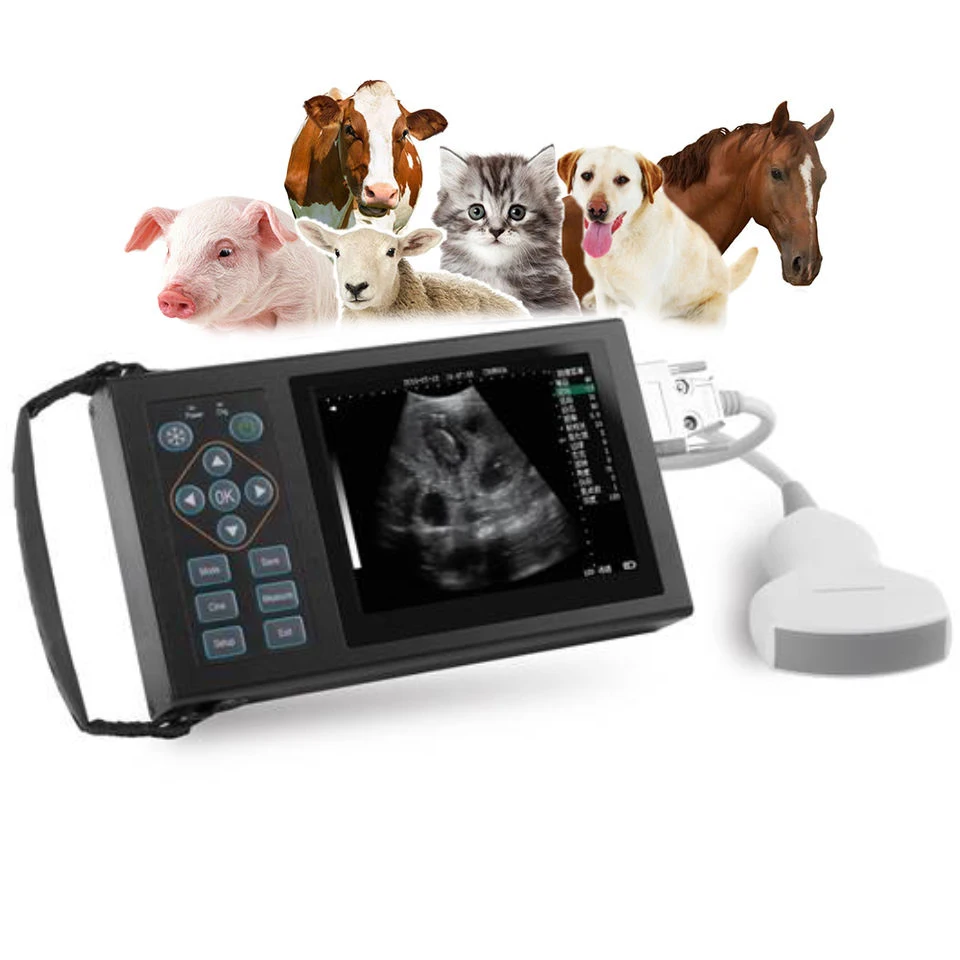 

RS Full Digital Color Veterinary Handheld Ultrasound Machine Scanner Sheep Pig Dog Pregnant