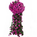 Purple Red