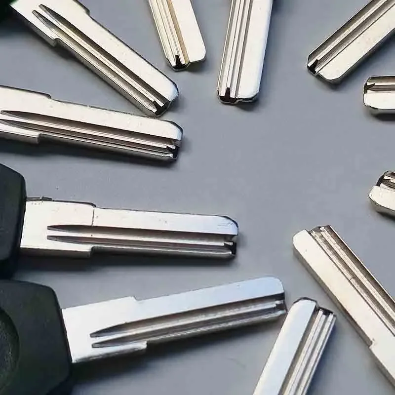 house door copy clone key embryo para 05