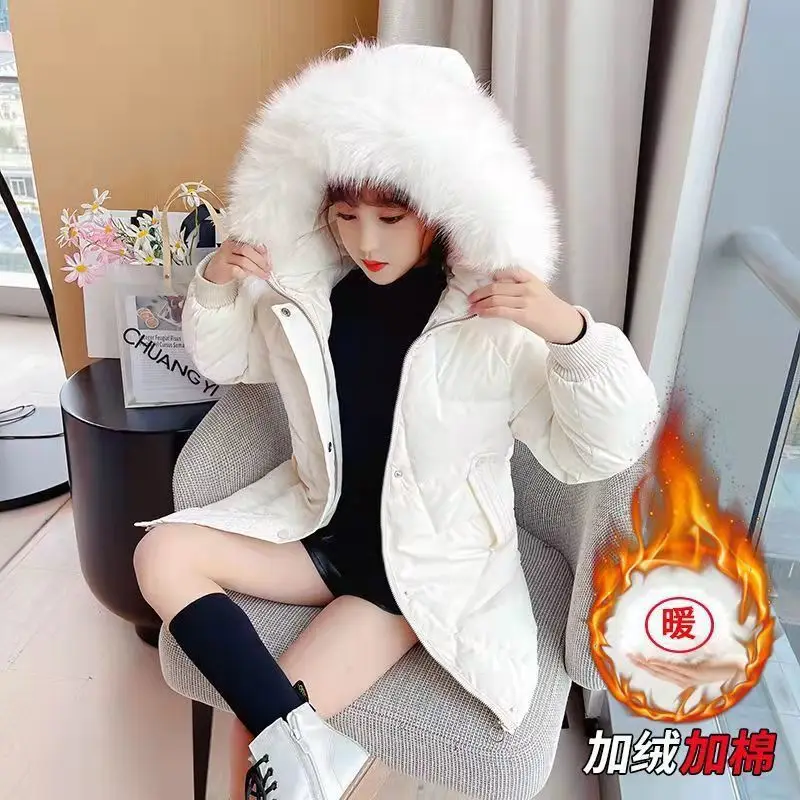 �ĵ� �� Į�� �� �е�� �Ƿ� ���ƿ�, ���� ���� �ٿ� ��ư �÷���, �߰� ���� ��ư �е� �Ƿ�