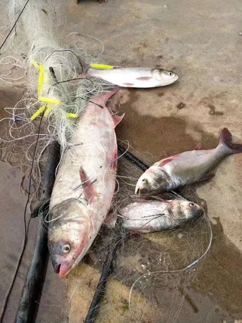 10m 25m 50m Three-layer Sinking Fishing Net