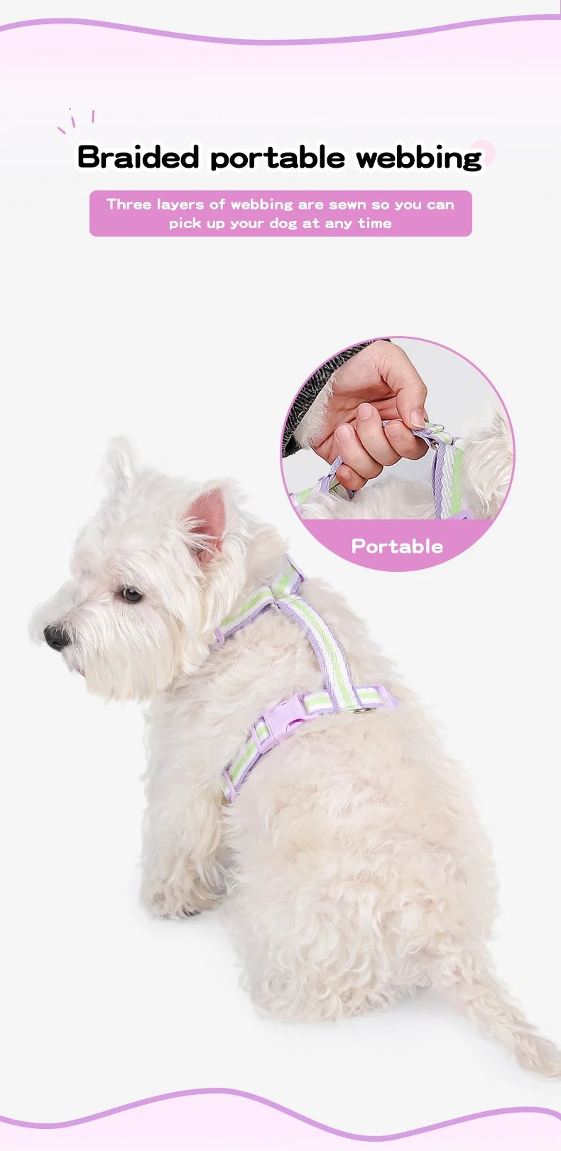Color Block Harness For Small Dogs Breathable Mesh Pet Walking Lead_voghion.com