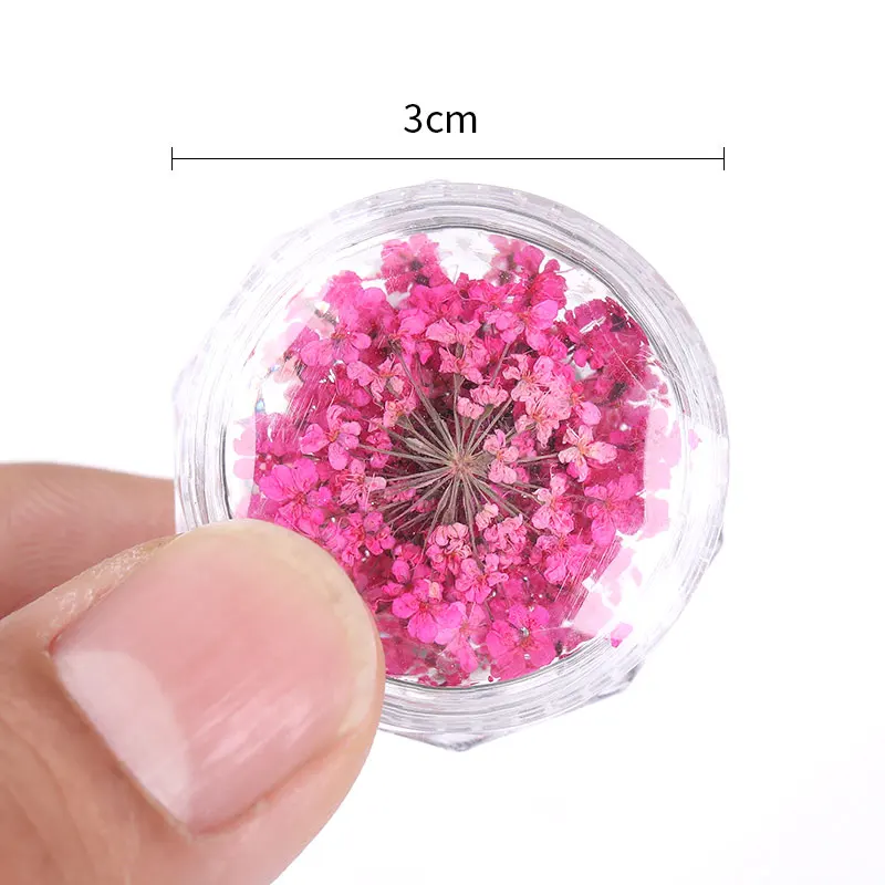 Nail Art Design - Set of 12 Color Nail Dried Flowers – Nails Deal