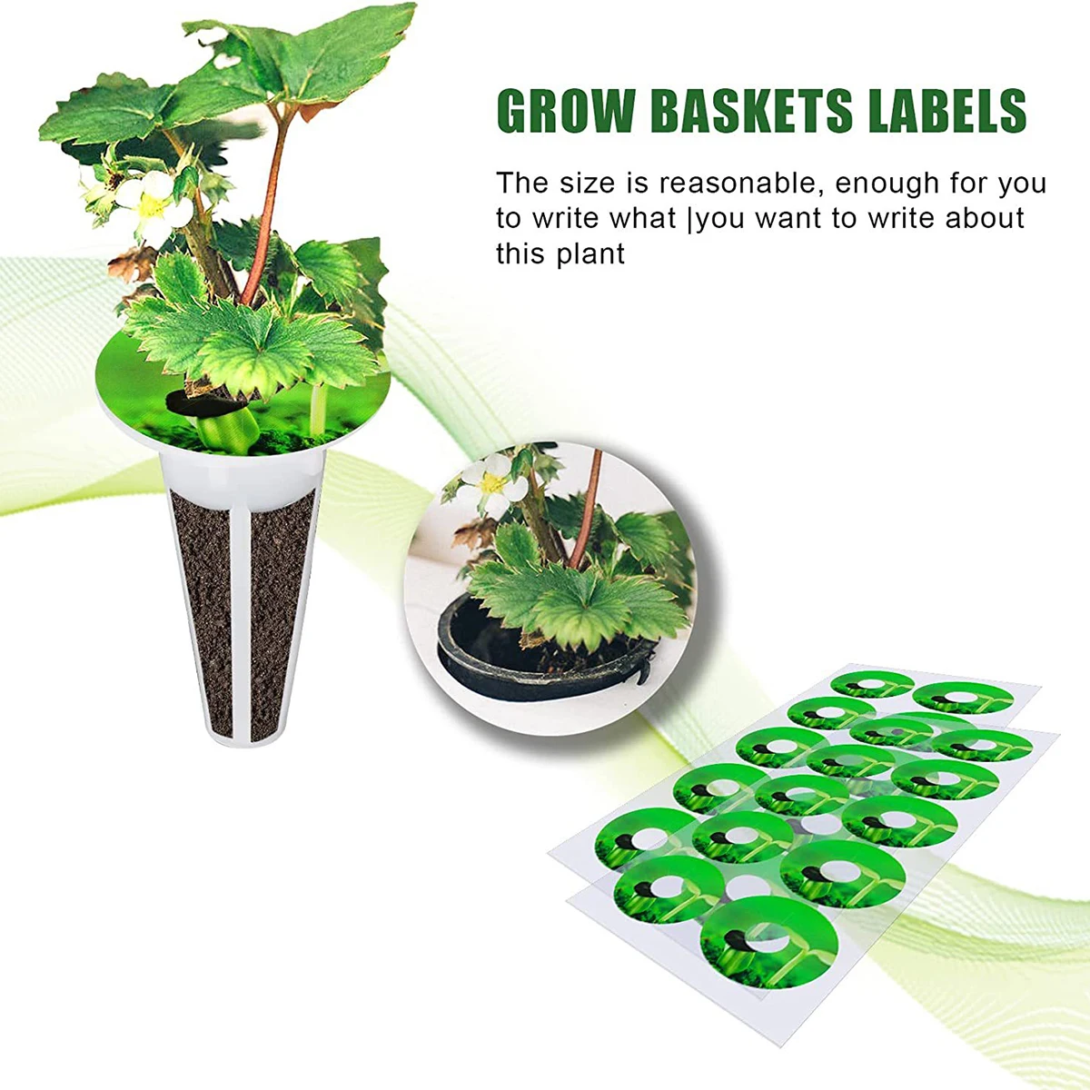 100Pcs Hydroponic Plant Labels Waterproof Seed Pot Labels for Mark Plants and Understand Plant Growth Seedlings Grow Baskets