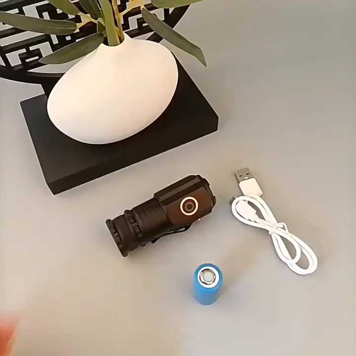 Mini LED Flash Light ( METAL BODY )