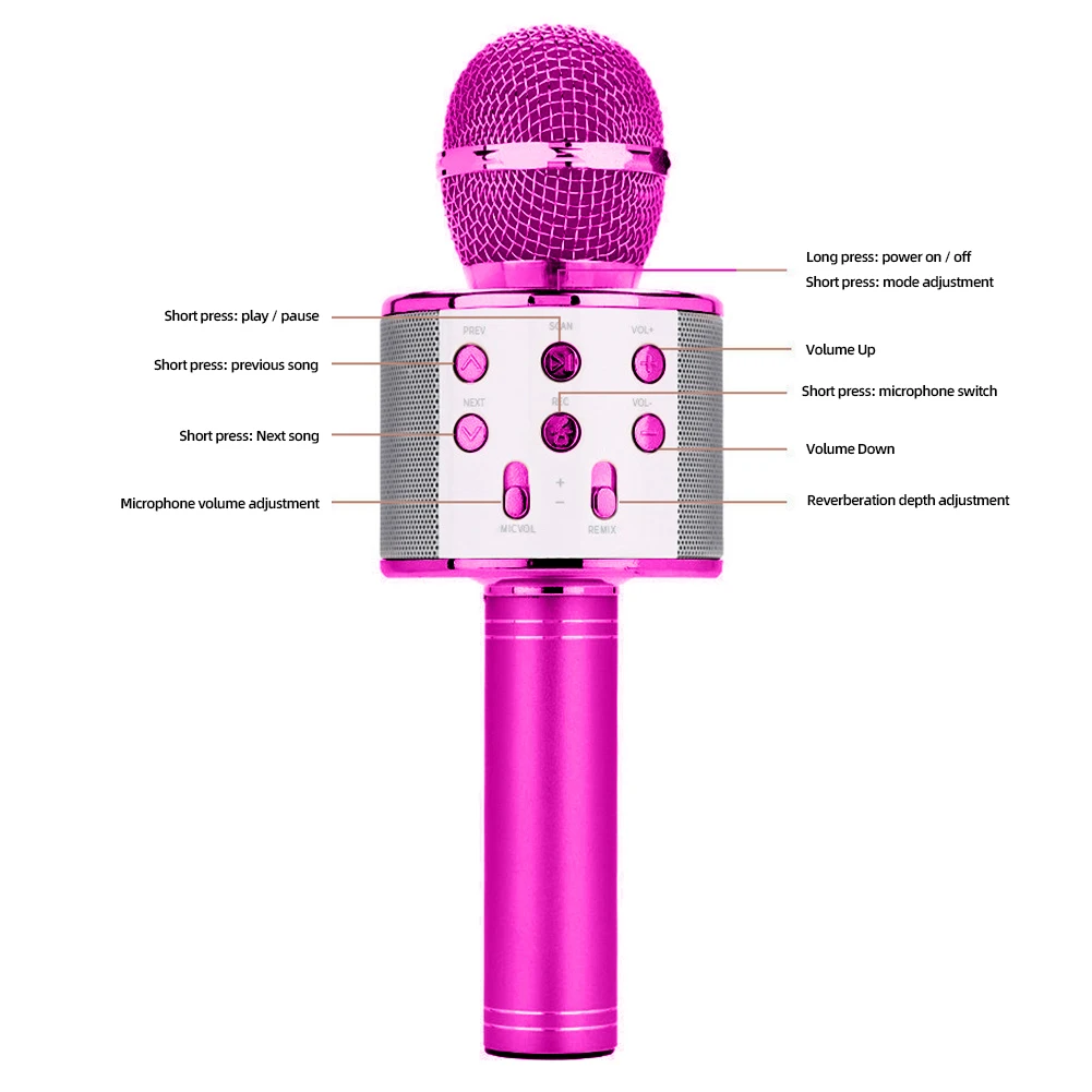 Portable Karaoke Microphone