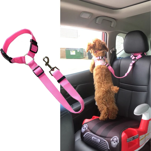 Ceinture de siège de voiture réglable pour animaux domestiques, harnais pour  chien et chat, laisse en plomb pour petits et moyens chiens, Clip de  voyage, fournitures d'extérieur pour animaux de compagnie 