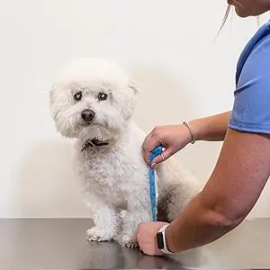 balto measurement help