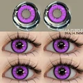 BELLA-PURPLE