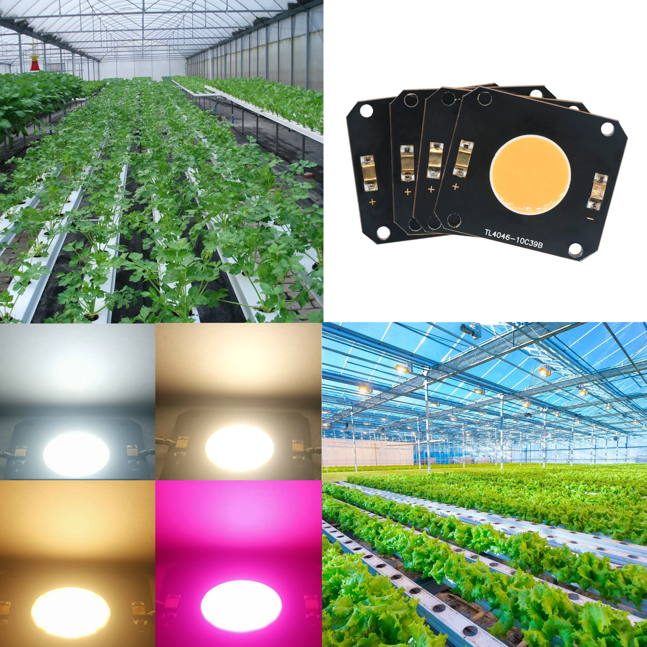 New LED Full Spectrum Phyto Tent 150-200W 600NM Ra97 Copper DC29-31V For plants glasses cultivo indoor ingrow accessories