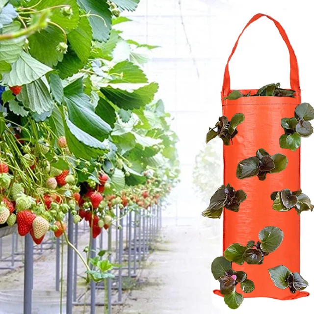 Új Többportos Termesztési Táskák Növényi Eper Burgonya Függő Edények Gyümölcs Zöldség Tasak Kertje Virág Edény