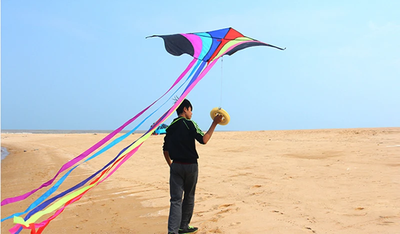 High-Quality Rainbow Eagle Kite for Kids - Durable Ripstop Nylon Fabric and Strong Line rainbow kite