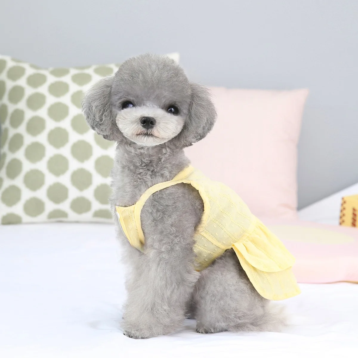 공주 진주 강아지 원피스, 소형견용 코튼 투투 스커트, 강아지 옷, 애완동물 의류, 여름, 10 PCs/로트