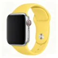 Canary Yellow