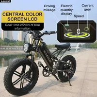 Vélo Électrique Rétro de 20 Pouces, 750W, 48V, avec Batterie Parfaite, pour Homme et Femme 3