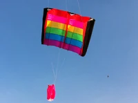Professional Large 230cm Multi-Color Single Line Kite Parafoil / Soft Rainbow Kites For Adults Children With Handle And Line 2