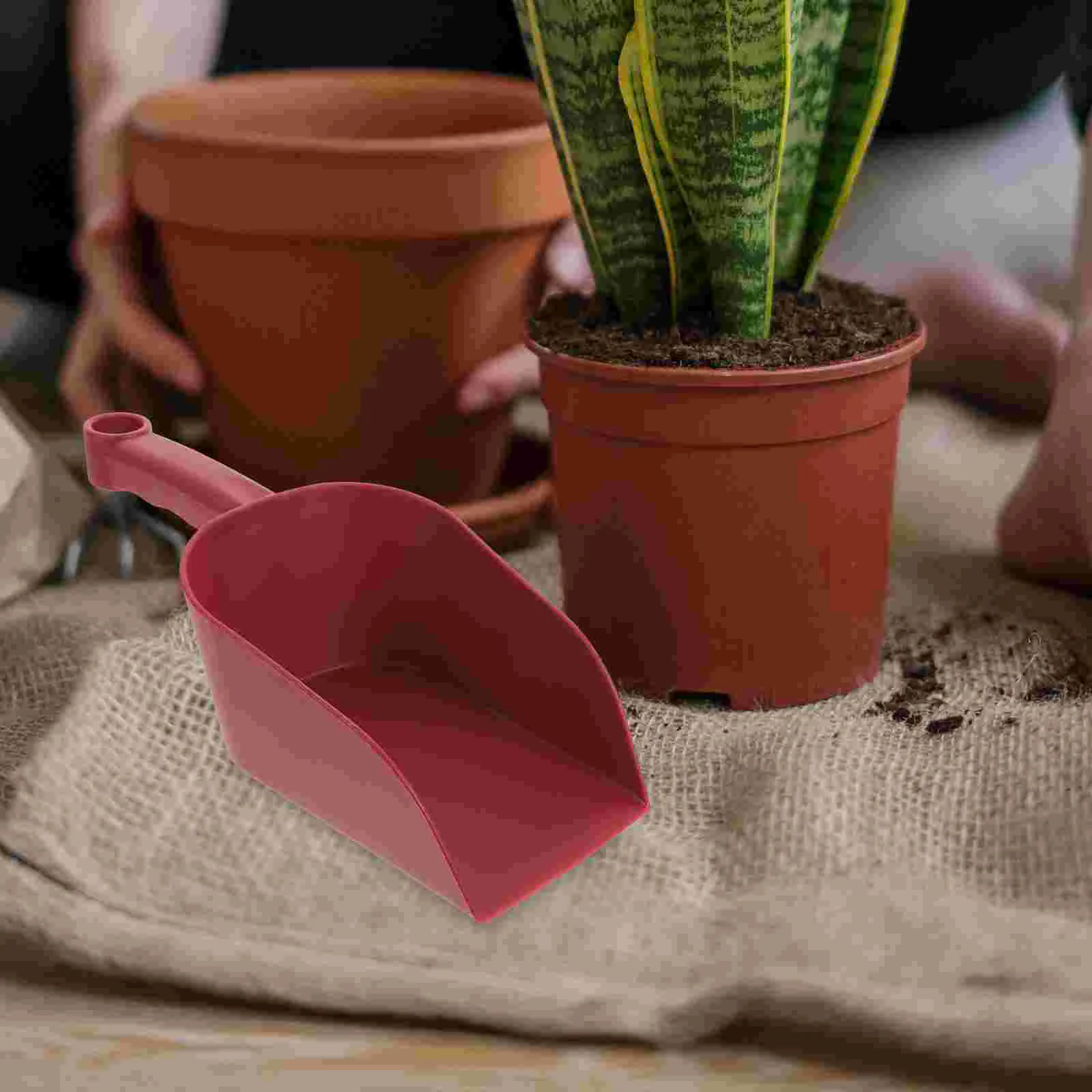 3 Pcs Plant Gardening Plastic Scoop Beach Shovels Succulents for Planting Pet