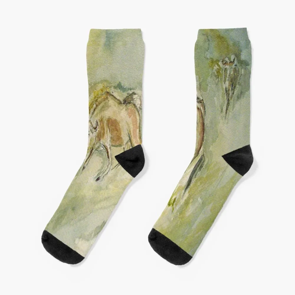 Gnus Socks bright garter sports and leisure winter thermal Christmas Socks For Women Men's