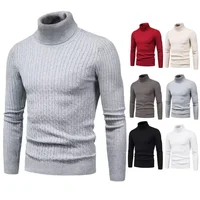 Autumn/winter Men's Polo/turtle Neck Sweater Korean Style Slim Fit Solid Color Pullover Base Knit T-shirt Youth Top Casual Scene