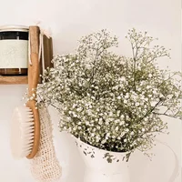 100g Natural Dried Gypsophila Flower Baby Breath Bouquets Floral Gypsophila Branches for Home Decor Wedding Garland Decoration 5