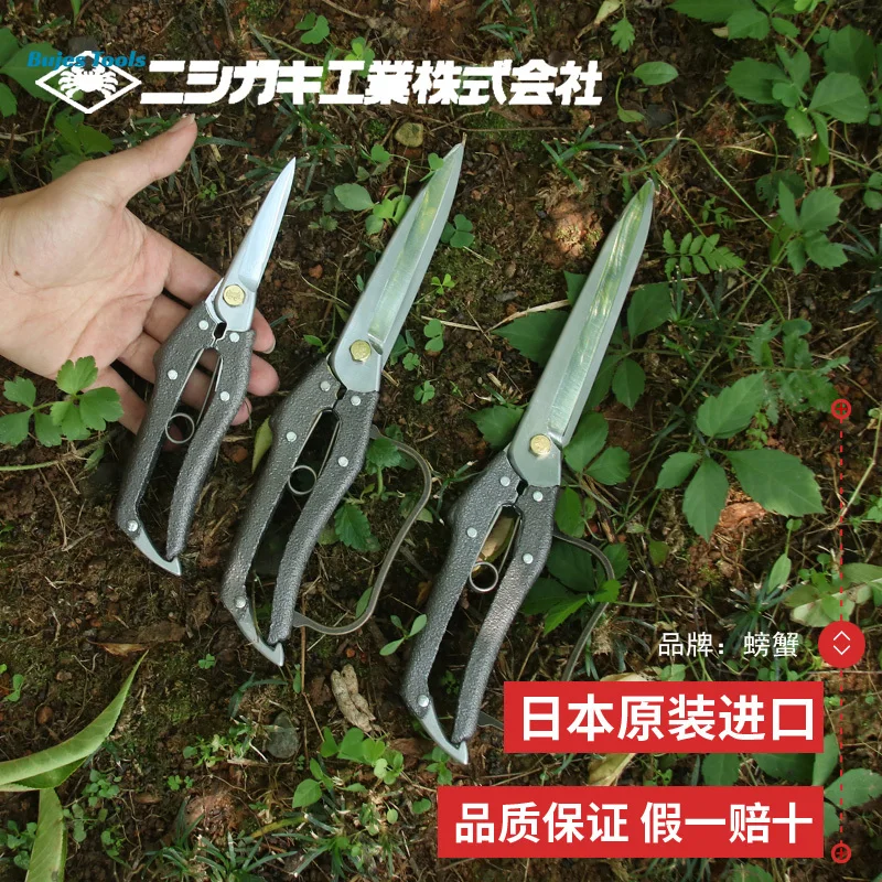 긴 칼날이 있는 프리미엄 정원 전정 가위 - 장미, 분재용 날카롭고 가볍고 내구성이 뛰어난 정밀 정원 가위