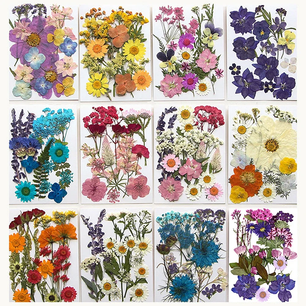 Kit De Flores Secas Naturales, Artesanías De Hojas De