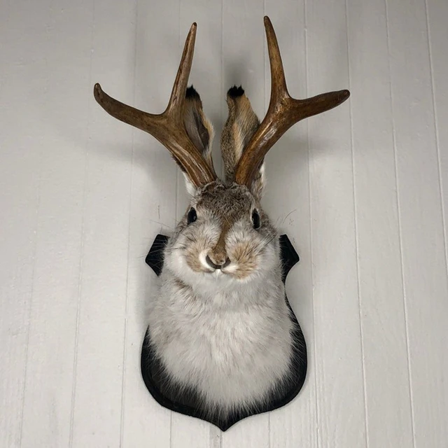 Sculpture de chambre à coucher intérieure, bois de tête de lapin, décoration murale suspendue, Jackalope, support mural d'animal pour la décoration murale de la maison 3
