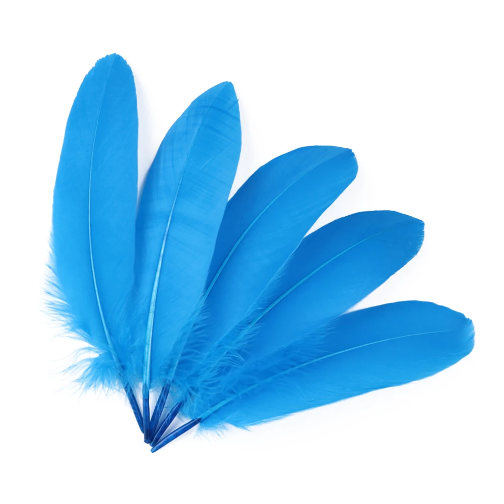 Plumas De Ganso Para Manualidades Y Decoración Bodas