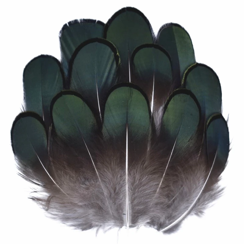 Natural Feathers Natural Peacock Pheasant Feathers Small Eagle Chicken Plumes Ostrich Decor DIY Handicraft Accessories Jewelry Creation