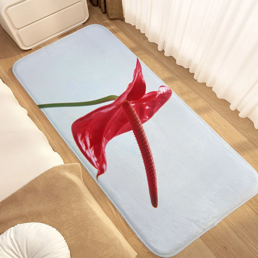 

Bathroom Carpet for Kitchen Door Mat Entrance Outdoor Rug Mat Bath Mats Decoration Home Decor Items Things to the House Carpets