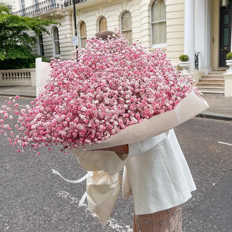 Gypsophila Dried Flowers Bouquet Baby's Breath Flores Artificial