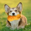1pc Interactive Squeaky Dog Toy for Aggressive Chewers - Durable Rubber Slippers-Shaped Chew Toy with "I Love You" Design 2