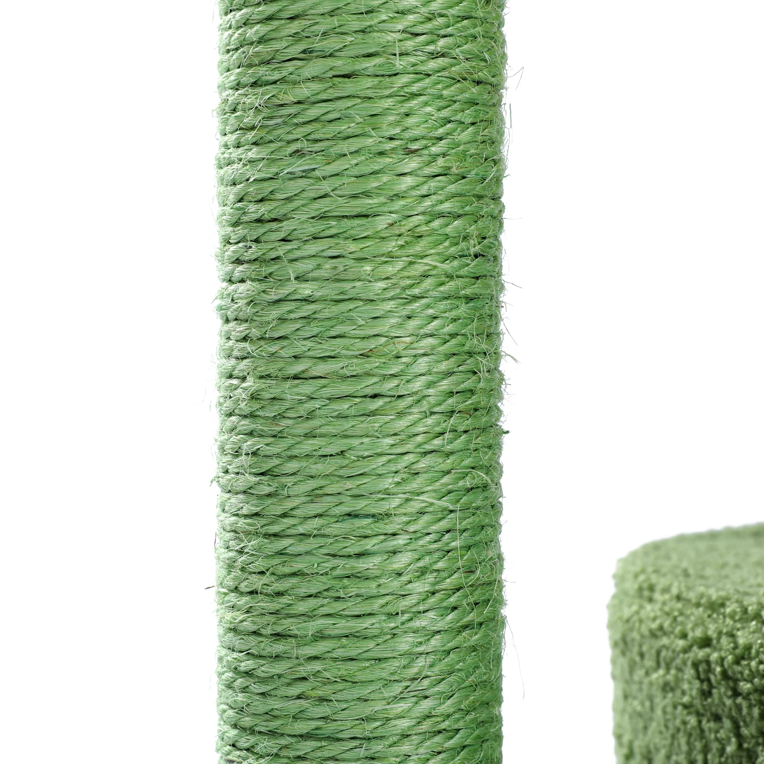 S95d135f91e60405d9c2802d0a7921cd2Q