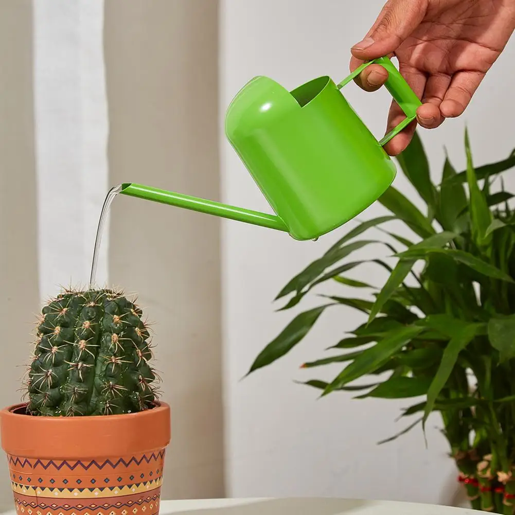Easy to Hold Watering Pot Small Watering Pot Stainless Steel Mini Watering Long Spout Sprinkling Pot for Indoor for Flowers