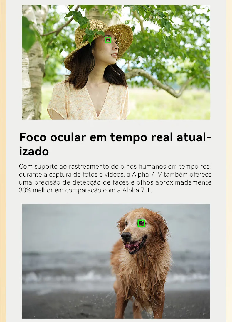 S95d4a9017e7e4a04ae5589ea2fd17cb5j.jpg