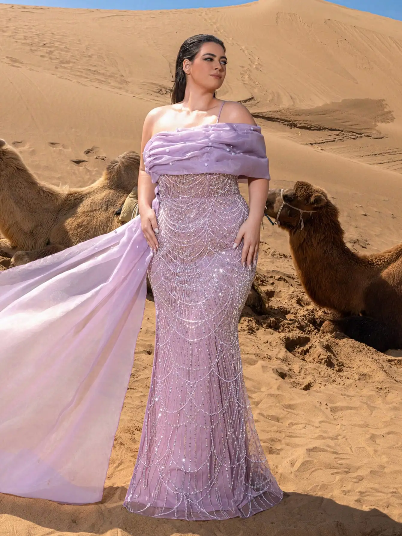 فساتين سهرة حورية البحر مطرزة بمقاس كبير مع خط عنق...