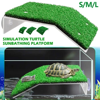 Turtle Platform for Aquarium 1
