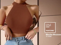 Corset sans manches en tricot pour femmes, mode d'été 2026, basique, décontracté, col licou, Crossfit, haut court, vêtements Y2k, pull extensible, débardeur 2