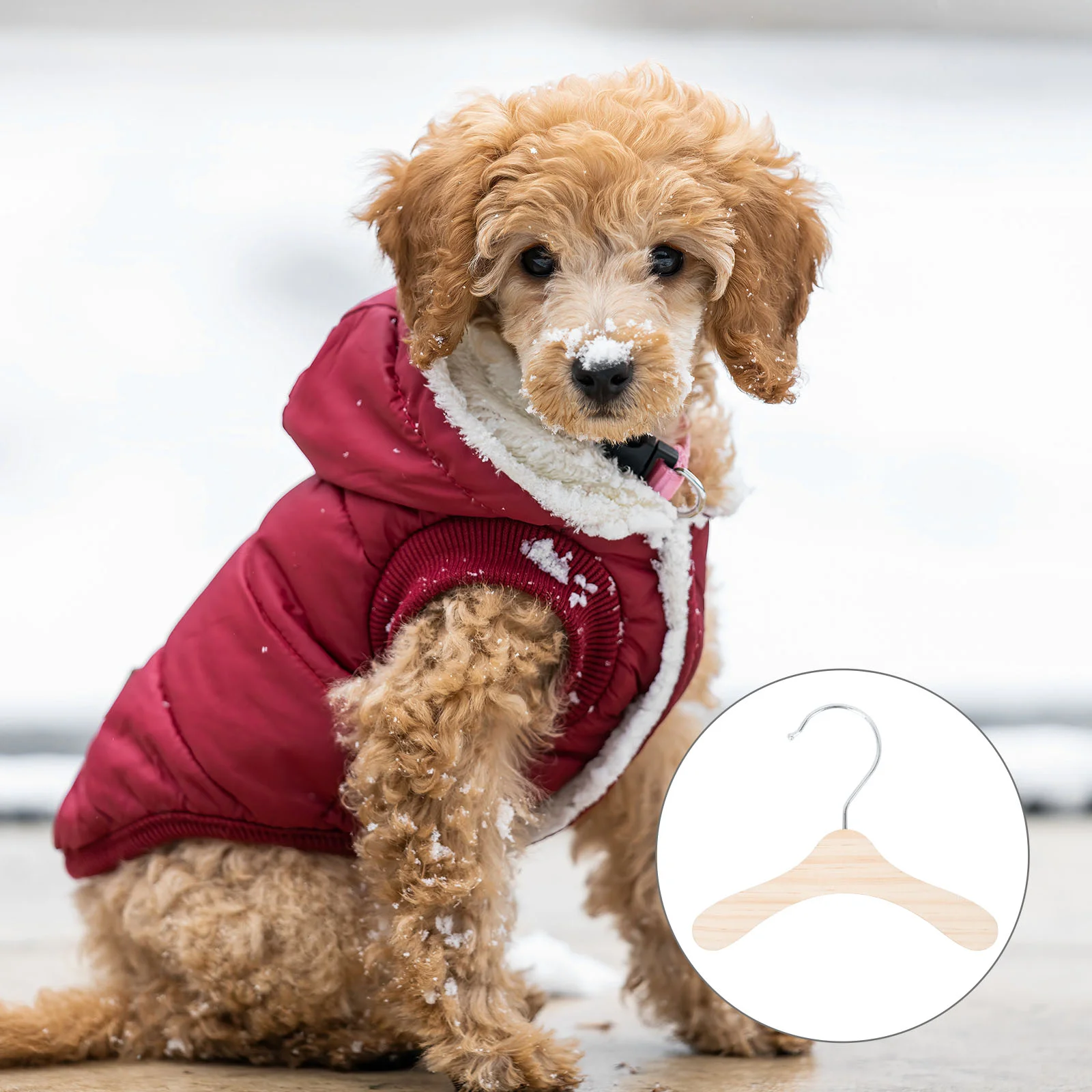 

10 Pcs Wooden Hangers Pet Clothing Practical Apparel Rack Dog Clothes Holder Accessory for