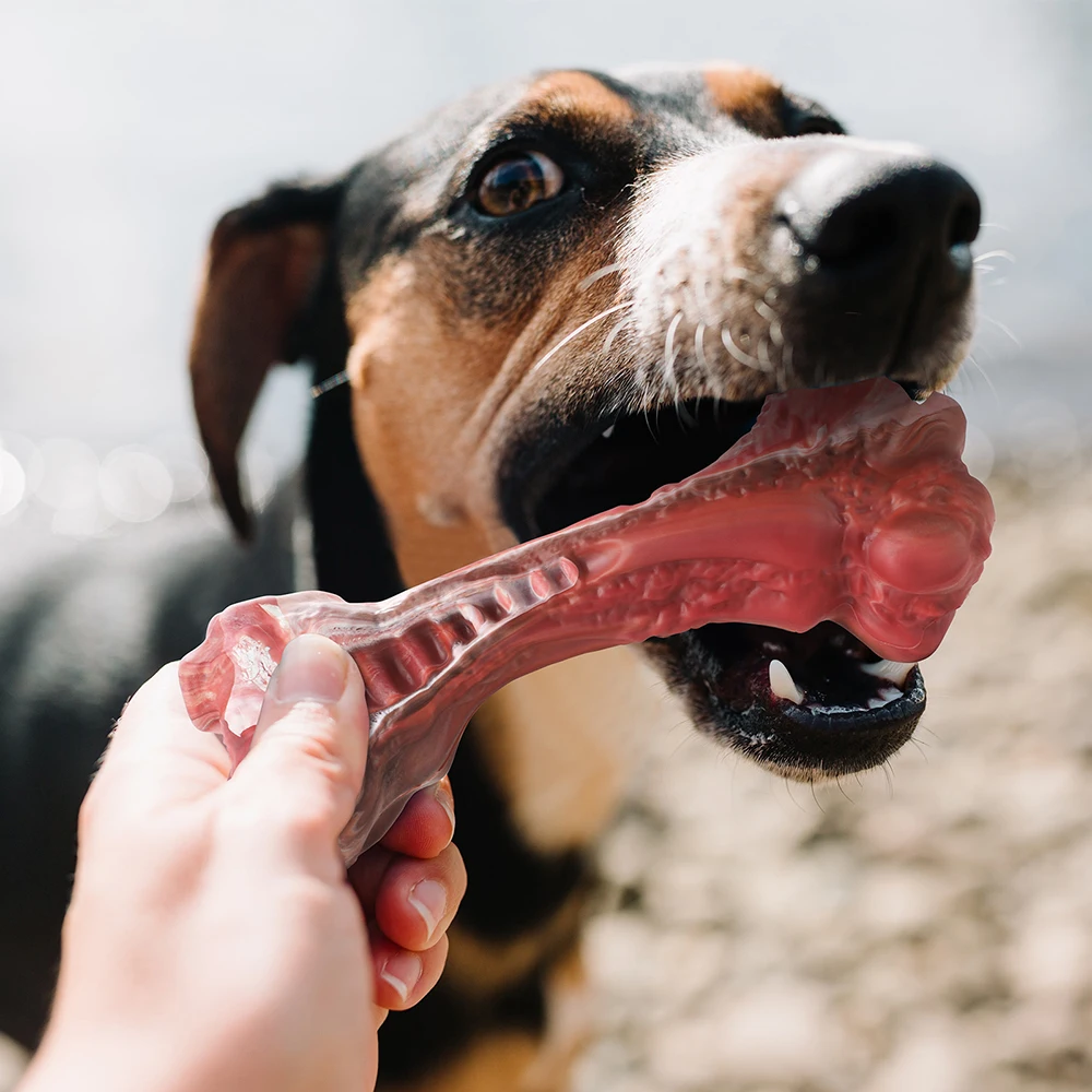 Interactive Treat Dispensing Puppy Toys - Dog Bones For Aggressive