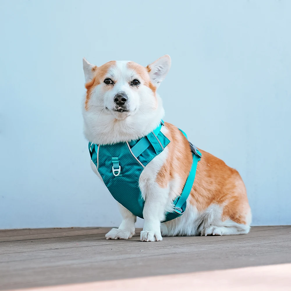 Harnesses Vest Pet Reflective Nylon Walking Running - PeticaDeals
