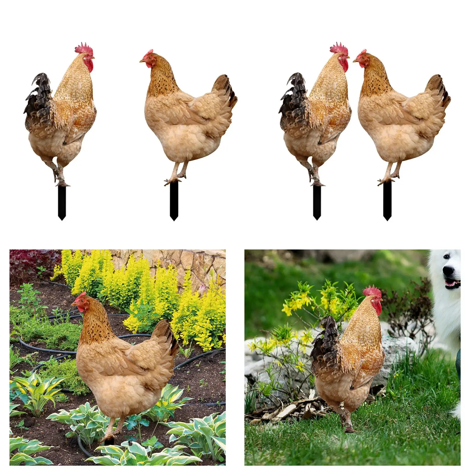 Chicken Animal Statue Stakes Acrylic Floor Decoration Weatherproof Sign Decorative Chicken Ornaments for Home Yard Art Sculpture