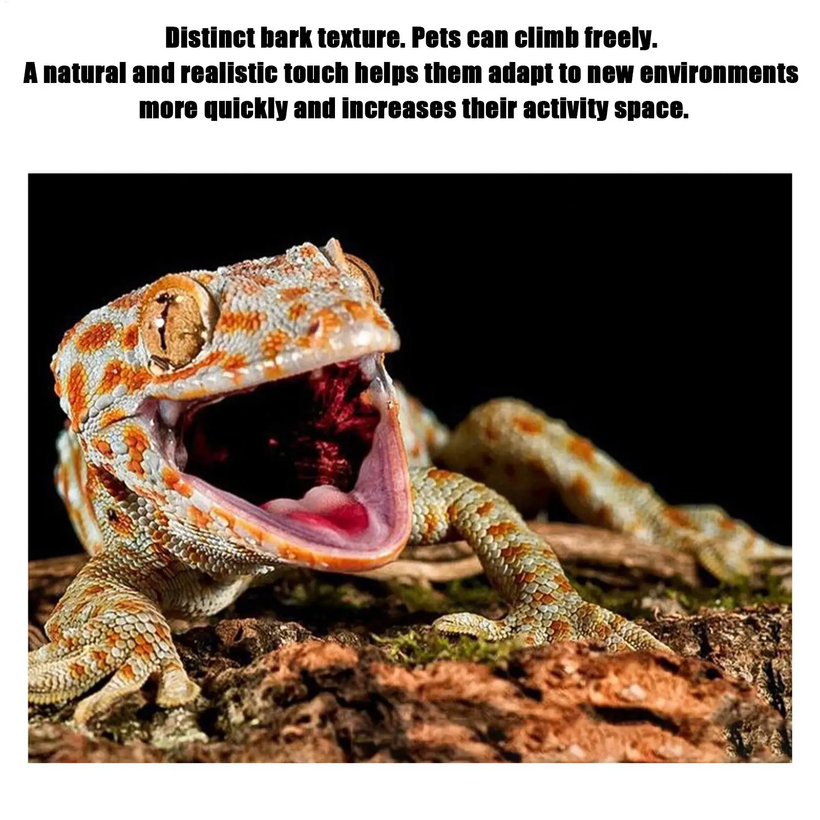 Reptile Bark Background 3