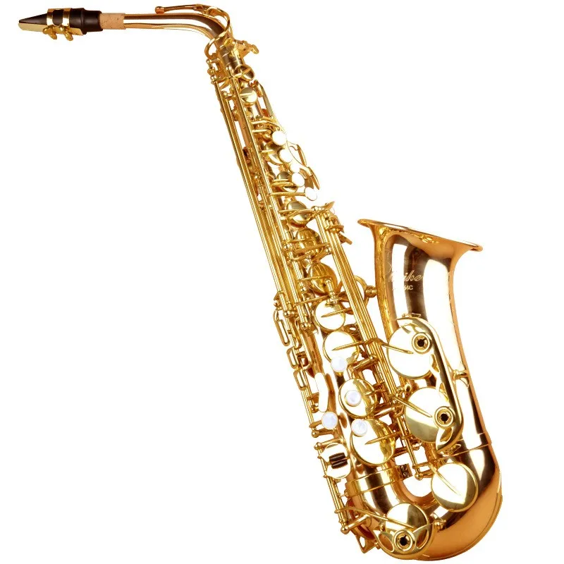 AdultBeginnersEFlatAltoSaxophoneDuctPlayingStyleSaxophone.jpg
