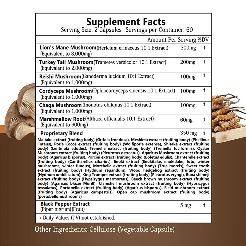 Lion's Mane Benefit Brain & Memory Immune Gain Energy Support Mood and Stress